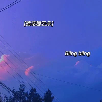 Bling bling 專輯 Seppela/DOUGHNUT/HIGH LANDA/阿湯/RIBELLU