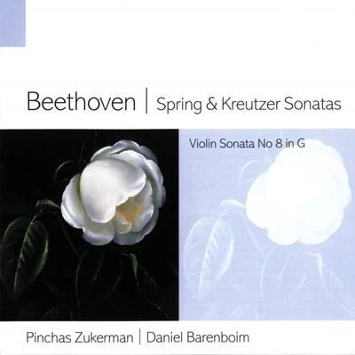 Beethoven Spring & Kreutzer Sonatas 专辑 Pinchas Zukerman/Michala Petri