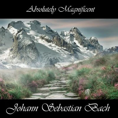 Absolutely Magnificent Johann Sebastian Bach 專輯 Erica Morini/Johann Sebastian Bach/Frederic Waldman/Wolfgang Amadeus Mozart/Erica Morini, Albert Fuller (Cembalo)