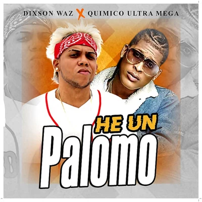 He Un Palomo 專輯 Dixson Waz