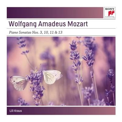 Mozart: 4 piano sonatas 專輯 François Étienne/Lili Kraus/Etienne Pasquier/Pierre Pierlot/Willi Boskovsky