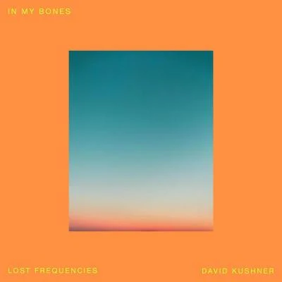 In My Bones 專輯 Lost Frequencies