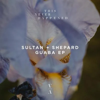 Guaba EP 專輯 Sultan & Ned Shepard