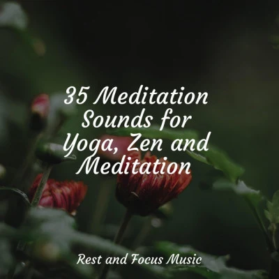 35 Meditation Sounds for Yoga, Zen and Meditation 專輯 All Night Long Noise/Deep Sleep Music Delta Binaural 432 Hz