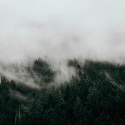 La Zona De Meditación - Canto Al Infinito 专辑 Meditación Guiada/Piano para Dormir/Sonido de lluvia