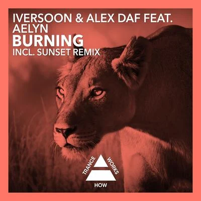 Burning 專輯 Iversoon