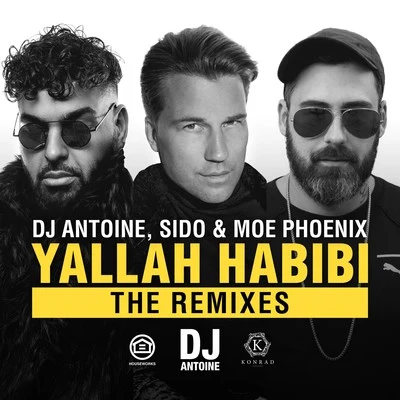 DJ Antoine Yallah Habibi (The Remixes)