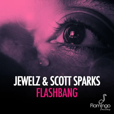 Flashbang 專輯 Scott Sparks