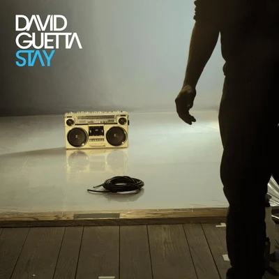 David Guetta Stay