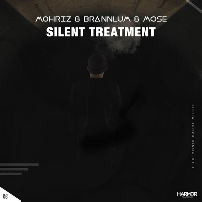 Silent Treatment 專輯 ORANGECOVE/Brannlum