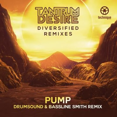 Pump (Drumsound & Bassline Smith Remix) 專輯 Tantrum Desire