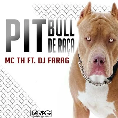 Pitbull de Raça 专辑 Mc Th/Mc Rebecca/Walshy Fire