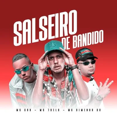 Salseiro de Bandido 專輯 Mc Dimenor Dr/MC Cebezinho