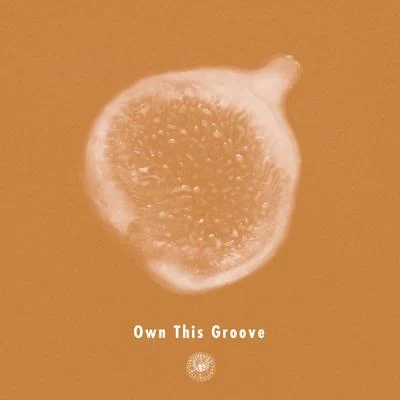 Own This Groove (feat. Liyv) 專輯 AMPM