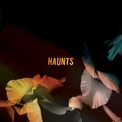 Haunts 專輯 Bearcubs