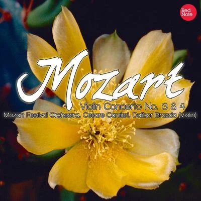 Mozart: Violin Concerto No. 3 & 4 专辑 Mozart Festival Orchestra/Piano/Angela Giolini/violin/Alberto Lizzio