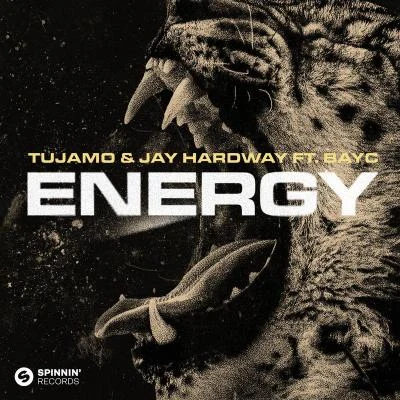 Energy (feat. Bay-C) 專輯 Jay Hardway