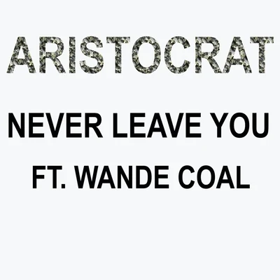 Wande Coal Never Leave You (feat. Wande Coal)