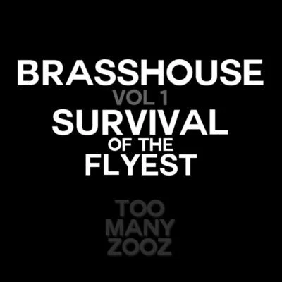 Brasshouse, Vol. 1: Survival of the Flyest 專輯 TOO MANY ZOOZ