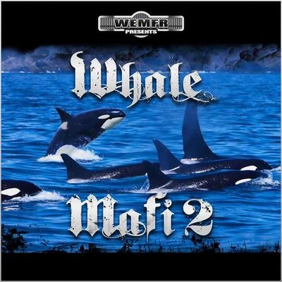 Whale Mafi 2 專輯 Rich The Factor