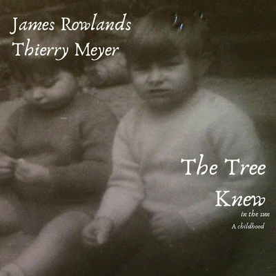 The Tree Knew (in the sun) 專輯 James