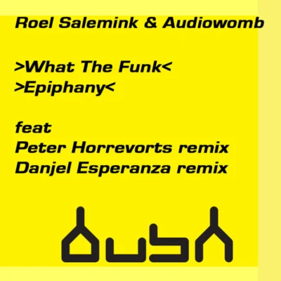 What The Funk & Epiphany 專輯 Roel Salemink