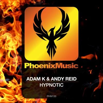 Hypnotic 專輯 Adam K/PHNTM/Alex Kenji/Marco Lys/Richard Dinsdale