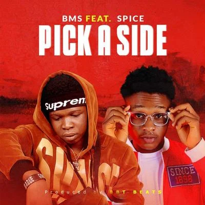 Pick a Side 专辑 BMS