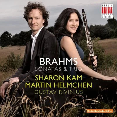 Brahms: sonatas trio是 專輯 Martin Helmchen