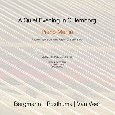 A Quiet Evening in Culemborg 專輯 Jeroen van Veen/Peter Schreier/Federico Guglielmo