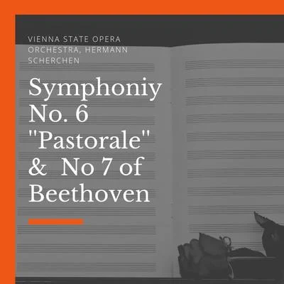 Symphony No. 6 Pastorale & No 7 of Beethoven 專輯 Hermann Scherchen