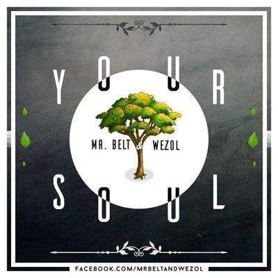 Your Soul (Original Mix) 專輯 Mr. Belt & Wezol