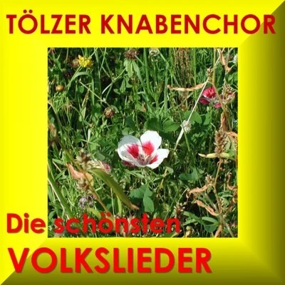 Tölzer Knabenchor Die Schönsten Volkslieder