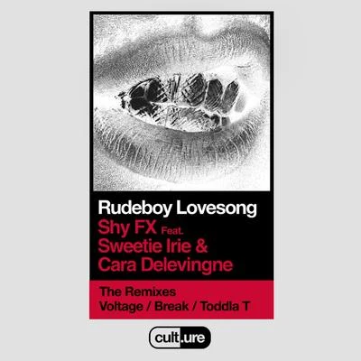 Rudeboy Lovesong (Remixes) 專輯 Shy FX