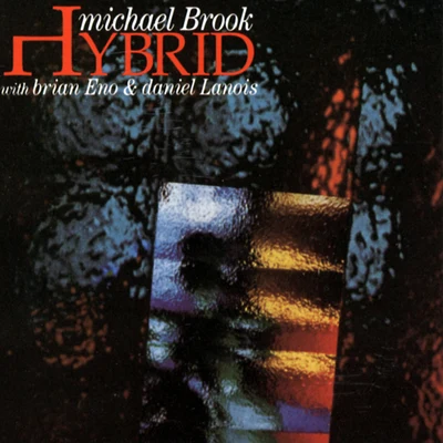 Hybrid 专辑 Michael Brook