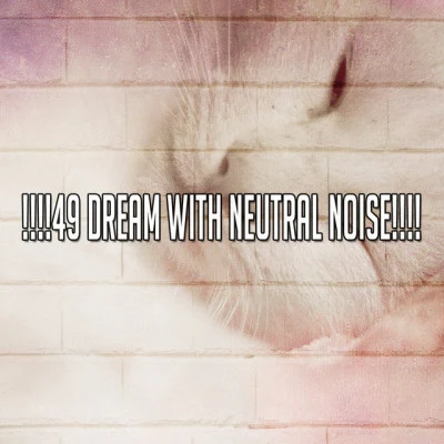 !!!!49 Dream With Neutral Noise!!!! 专辑 Sleep Music Lullabies/Baby Sleep Conservatory/Smart Baby Lullabies