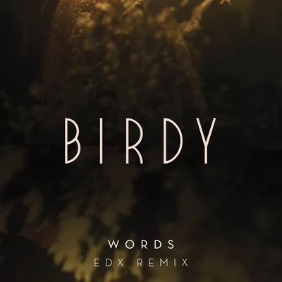 Words (EDX Remix) 專輯 BIRDY