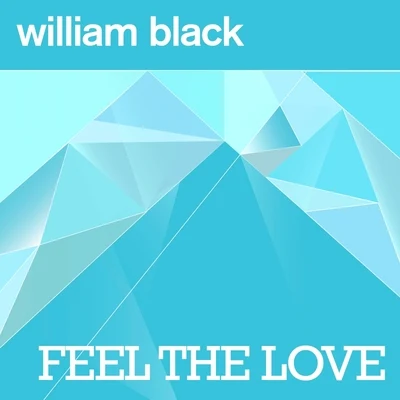 Feel The Love 專輯 Annie Schindel/William Black