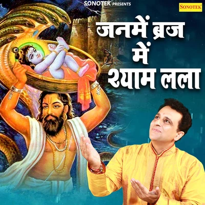 Janme Braj Mein Shyam Lala - Single 专辑 Krishna