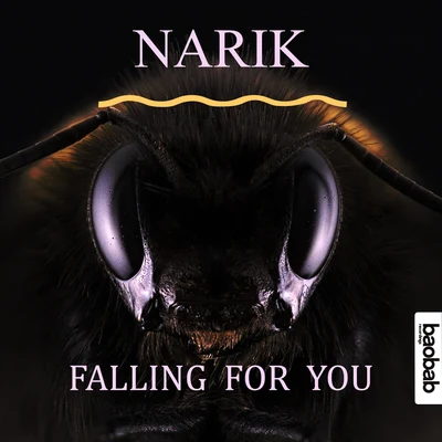 Falling For You 專輯 Tobi Kramer/Narik/Carlo Whale