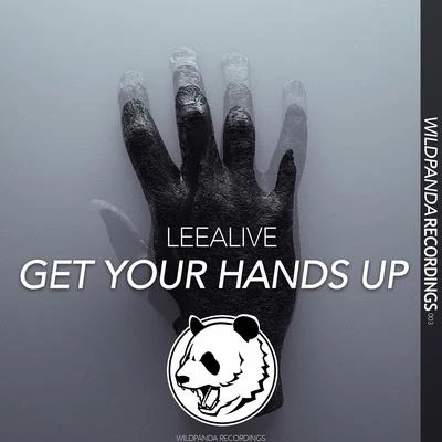 GET YOUR HANDS UP(Original Mix) 专辑 LeeAlive