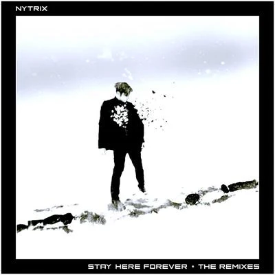 Stay Here Forever: The Remixes 專輯 Nytrix