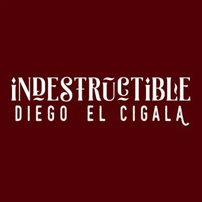 Indestructible 專輯 Eva Ayllon/Diego el Cigala