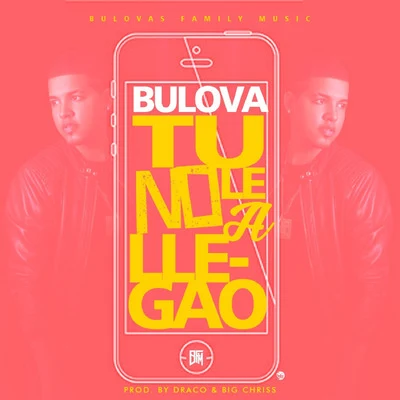 Tu No Le a Llegao 专辑 Bulova/Melymel