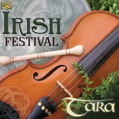 Irish Festival 专辑 Tara/Branx/The Funk Hunters/Krafty Kuts/Stanton Warriors