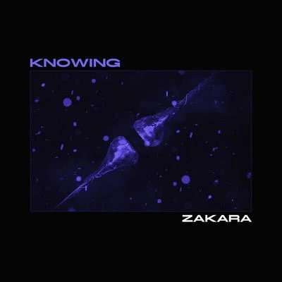 Knowing 專輯 Zakara/Renizance