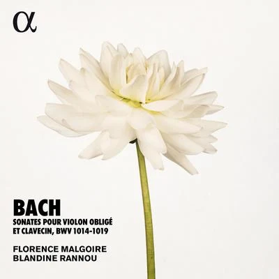 Bach: Sonates pour violon obligé et clavecin, BWV 1014-1019 (Alpha Collection) 專輯 Florence Malgoire