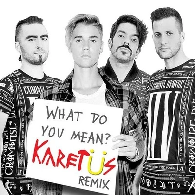 What Do You Mean 專輯 Pongolove/karetus