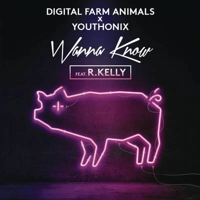 Wanna Know 专辑 Digital Farm Animals