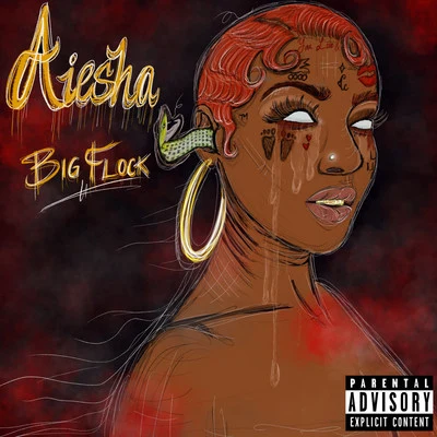 Aiesha 专辑 Big Flock